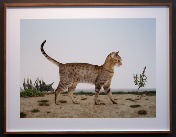 Torch - Loretta Lux Torch - Loretta Lux