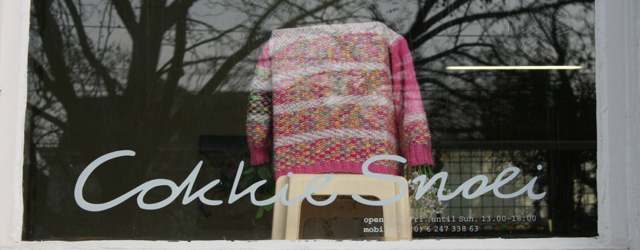 Niels Broszat (1980) (@Broszat) komt hier wel vaker voorbij. Via de telefoon gaf hij mij een rondleiding door zijn eigen tentoonstelling bij Cokkie Snoei te Rotterdam. De opening werd gedaan [&hellip;]