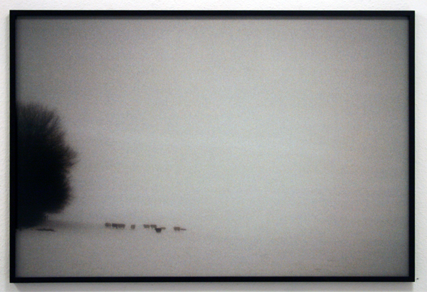 LJAD Creyghton - A Winter's Tale Waalwijk - 100x150cm C-print op dibond LJAD Creyghton - A Winter's Tale Waalwijk - 100x150cm C-print op dibond