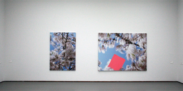 Marijke van Warmerdam - Blossom - Sweep & Blossom - Branched - Acrylverf en inkjet print op doek Marijke van Warmerdam - Blossom - Sweep & Blossom - Branched - Acrylverf en inkjet print op doek