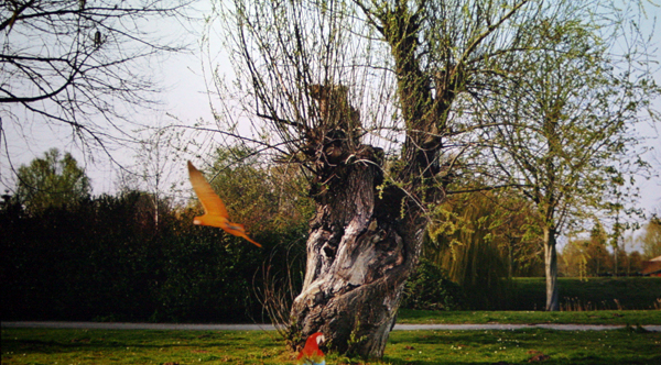 Marijke van Warmerdam - Face to Face - 35mm Filmloop Marijke van Warmerdam - Face to Face - 35mm Filmloop