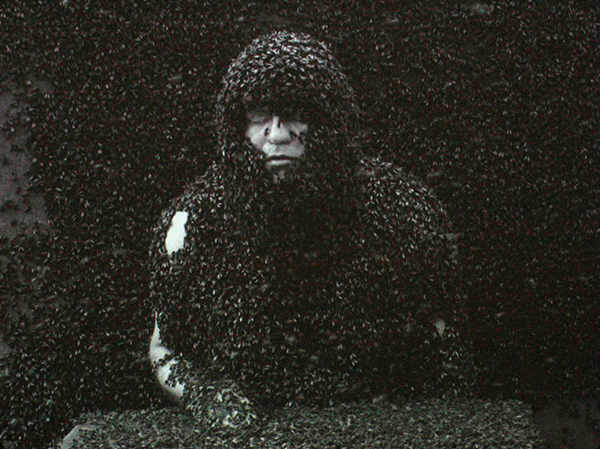 2012 - Jeroen Eisinga - Springtime - 19,05minuten 35mm Film overgezet op HDvideo