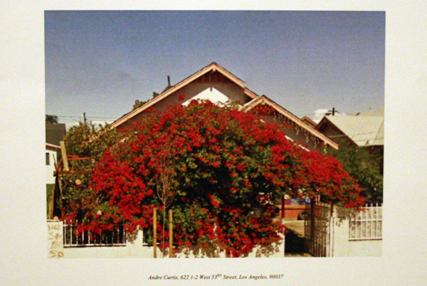 Katja Verheul - Megan, Home There is No Place Like It Katja Verheul - Megan, Home There is No Place Like It