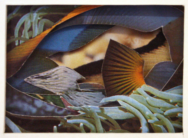 Bianca Runge Bianca Runge