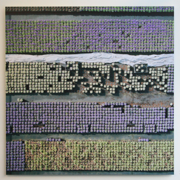 Gerco de Ruijter - Baumschule_3 Gerco de Ruijter - Baumschule