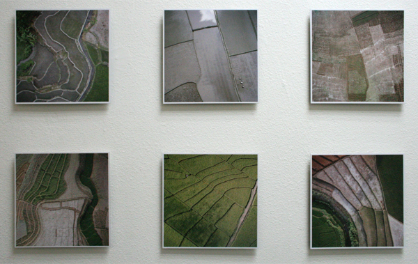 Gerco de Ruijter - Baumschule_8 Gerco de Ruijter - Baumschule