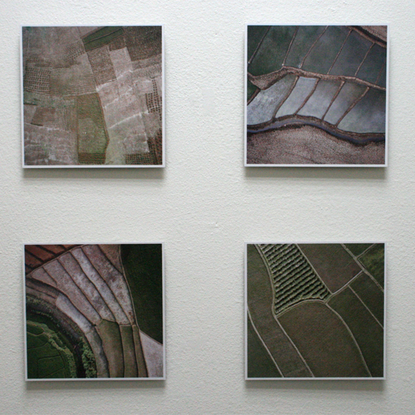 Gerco de Ruijter - Baumschule_9 Gerco de Ruijter - Baumschule