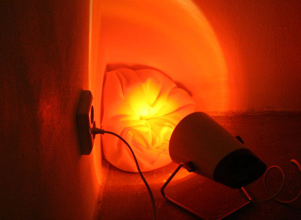 Guus van Dongen - Four Manifestations of a Cloth Guus van Dongen - Four Manifestations of a Cloth