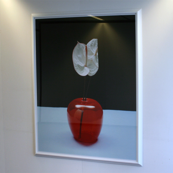 Holger Niehaus Holger Niehaus