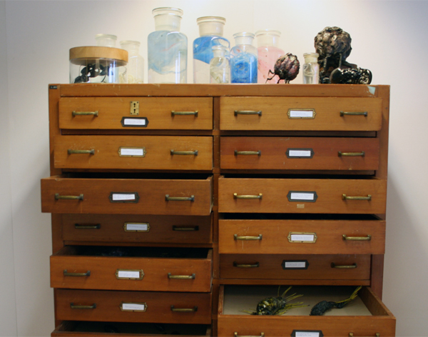 Jeroen Kuster Jeroen Kuster