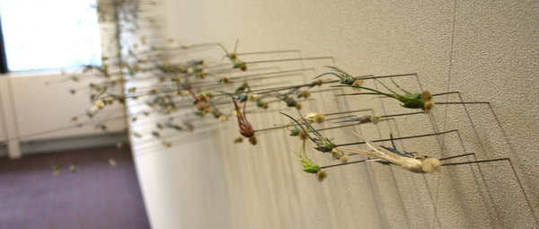 Jeroen Kuster_2 Jeroen Kuster