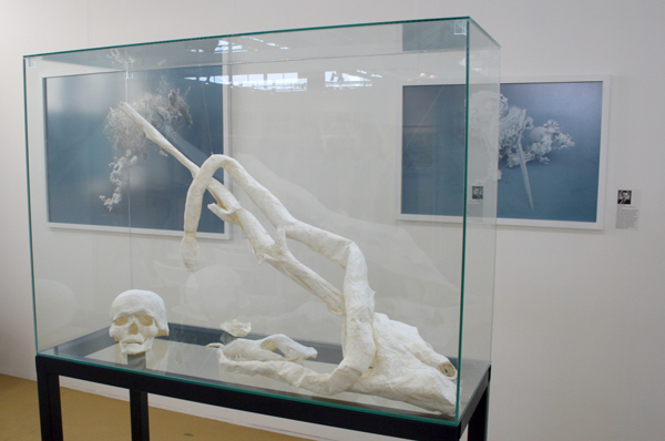 Kolonie & Stereo - Onbekende kunstenaar Kolonie & Stereo - Onbekende kunstenaar