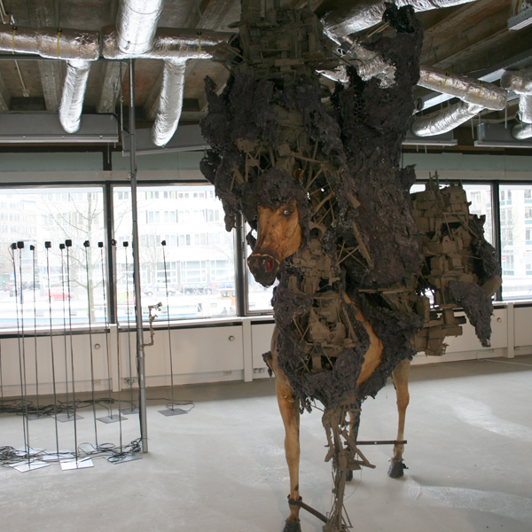 Pim Palsgraaf Pim Palsgraaf