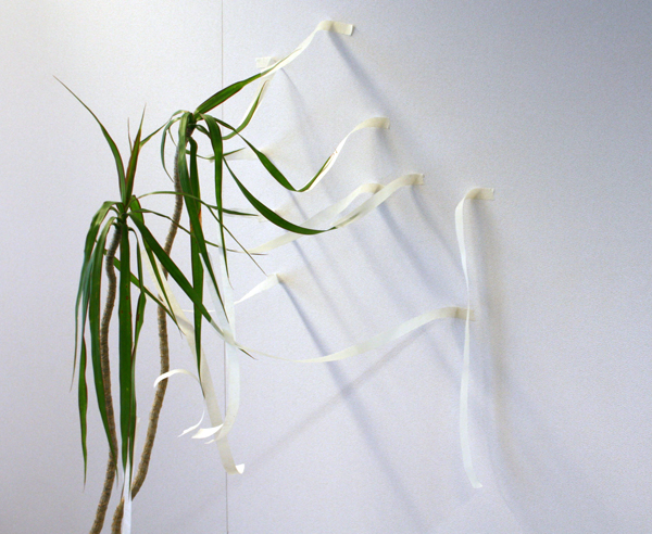 Simon Kentgens_2 Simon Kentgens