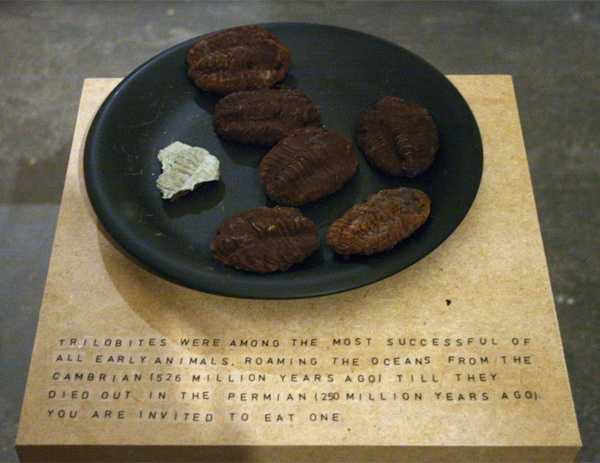 Susan Kooi - Fertile Soil For Melancholy Susan Kooi - Fertile Soil For Melancholy