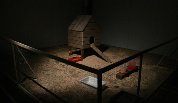 Tinkebell - Saving a Broiler Tinkebell - Saving a Broiler