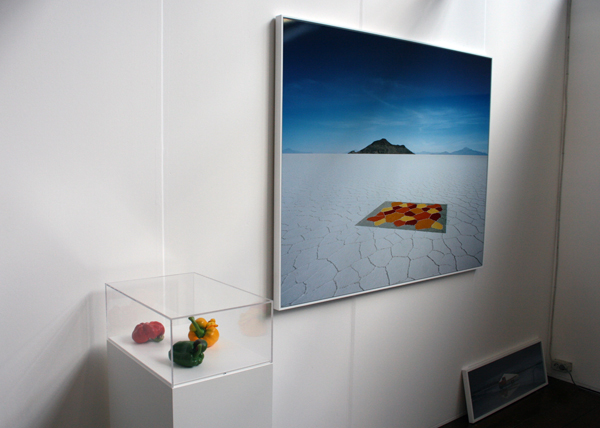 Vous Etes Ici - Driessens en Verstappen & Scarlett Hooft Graafland Vous Etes Ici - Driessens en Verstappen & Scarlett Hooft Graafland