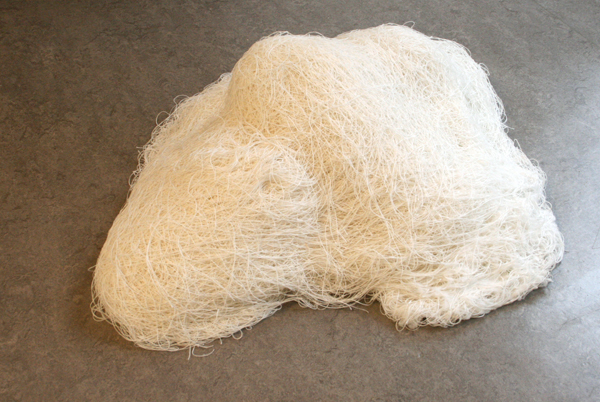 Carina Diepens - 29,4m2 - 14700 linnen draden Carina Diepens - 29,4m2 - 14700 linnen draden