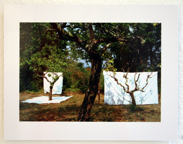 Huub van der Loo - Zonder Titel (After Ruysdael The Bleeching Fields) - 30x40cm Lambdaprint Huub van der Loo - Zonder Titel (After Ruysdael The Bleeching Fields) - 30x40cm Lambdaprint