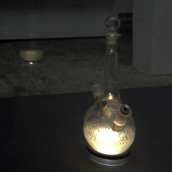 Paul Geelen - Sliding under Traces - Mixed media installatie met slakken