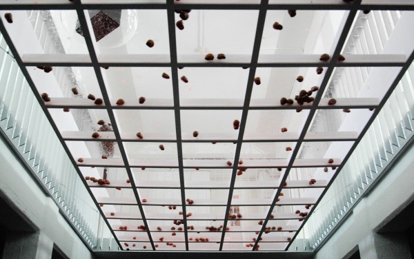 Paul Geelen - Sliding under Traces - Mixed media installatie met slakken