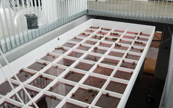 Paul Geelen - Sliding under Traces - Mixed media installatie met slakken