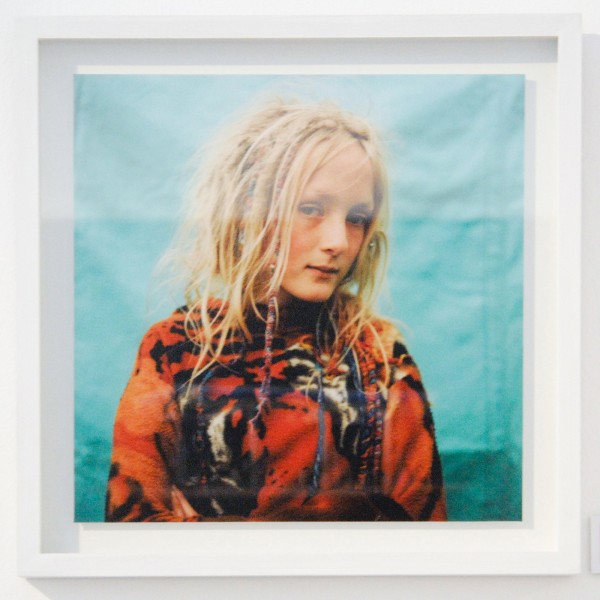 Rare Birds - Iain Mickell