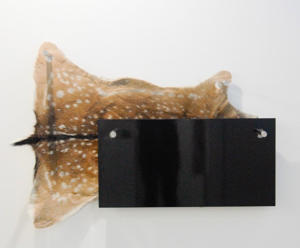 ZERP Galerie - Peter Riss