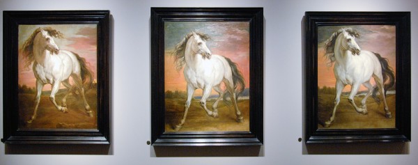 Haboldt & Co - Jan Boeckhorst