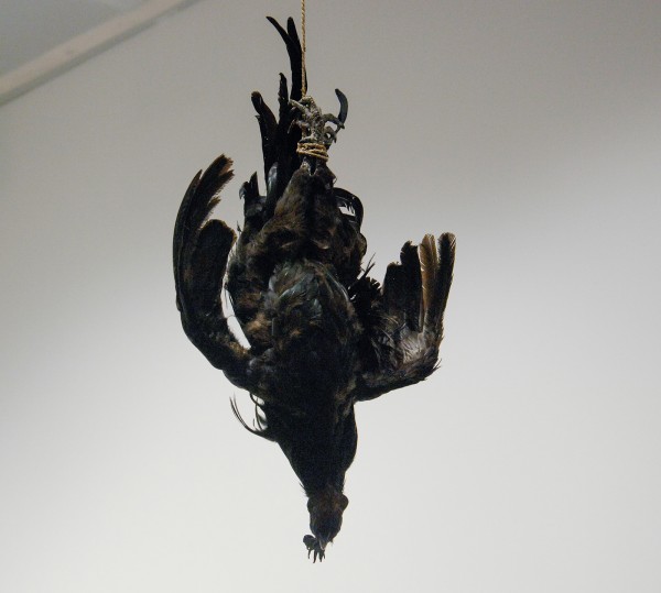 Show your Wound, Nadja Vilenne - John Murphy