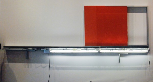 Show your Wound, Sprovieri - Pedro Cabrita Reis