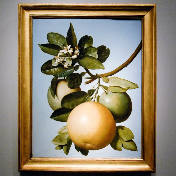 Talabardon & Gautier - Michel Garnier