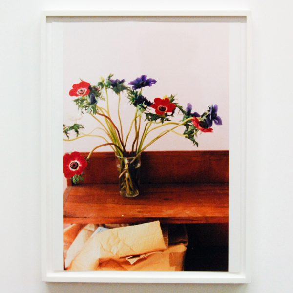 David Zwirner - Wolfgang Tillmans