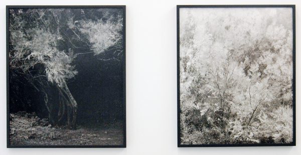 Kristof de Clercq - Awoiska van der Molen