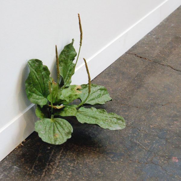 Sorry We're Closed - Tony Matelli