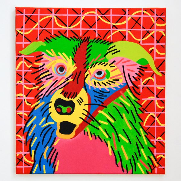 Leen Voet - Peinture inacheve de madame T, Border collie in pastel - 61x55cm Olieverf op canvas