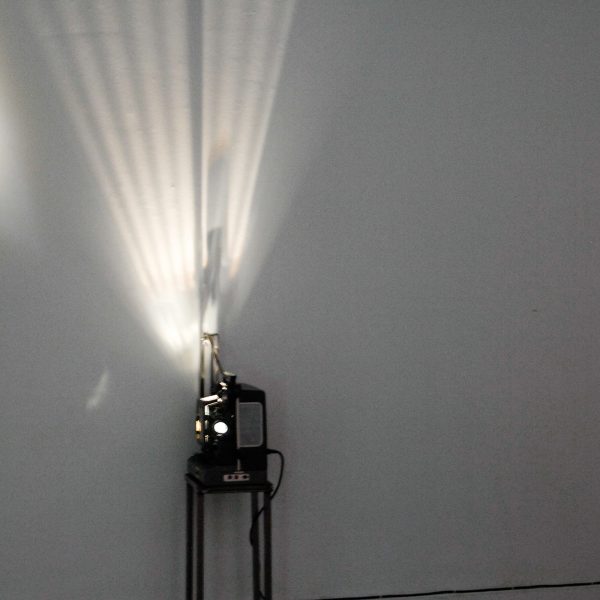 Kari Robertson (detail)