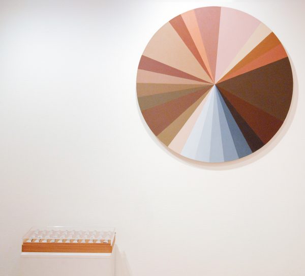 Adriana Varejao - Polvo Color Wheel III - 100cm diameter, Olieverf op canvas - Polvo Oil Colours - Olieverf op basis van de 134 huidskleuren van Brazilie volgens onderzoek uit 1976 van het Braziliaanse Instituut voor Geografie en Statistiek