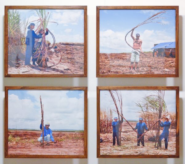 Jonathas de Andrade - ABC da Cana (Sugercane ABC) - 36 maal 30x35cm Foto's (detail)