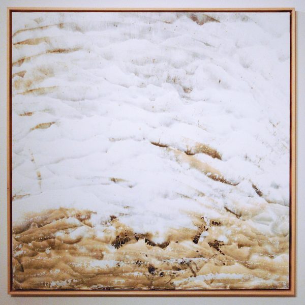 Roberto Coda Zabatta - Merda Bianca - 100x100cm Organisch materiaal, enamel en oesterstof