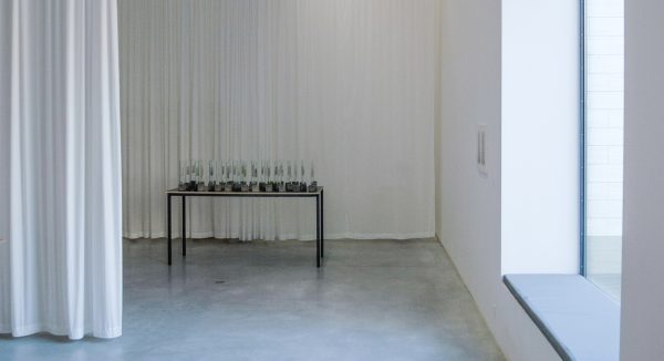 Aglaia Konrad Overzicht