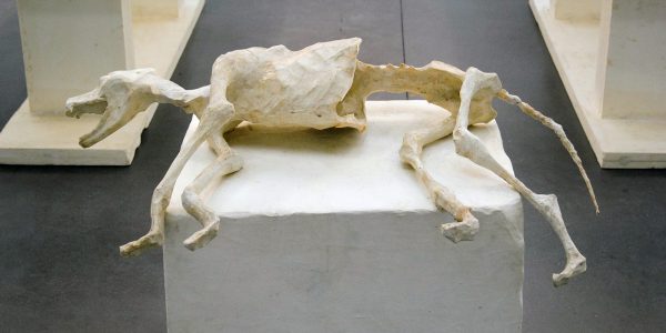 Atelier van Lieshout - Cradle to Cradle - Mixed Media (detail)