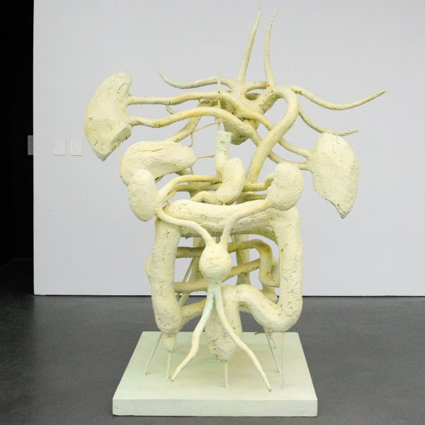 Atelier van Lieshout - Exploded View Organs - Pur schuim