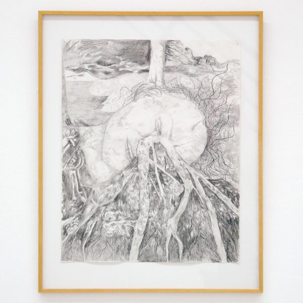 Gam Bodenhousen - Magnets, Roots, Grey Owl - 44x55cm Potlood op papier