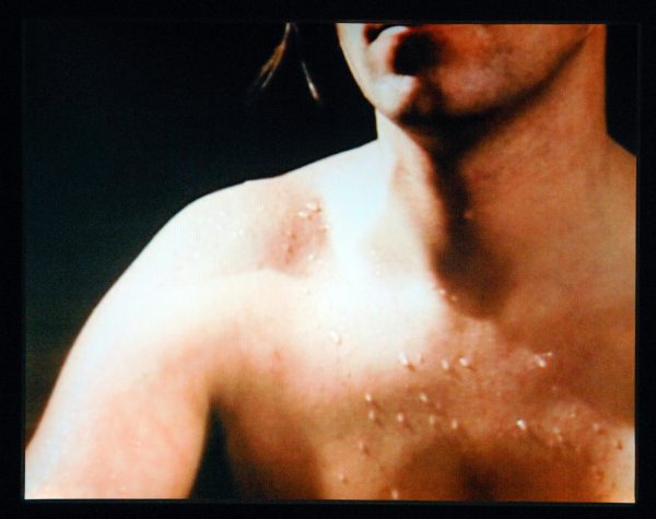 Ger van Elk - Some Natural Aspects of Sculpture