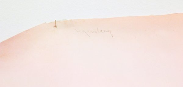 Guy Mees - Untitled - 232x169cm Pastel op papier, 1978-1979 (detail)