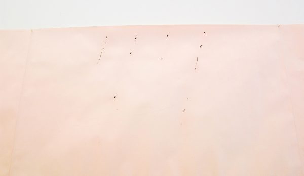 Guy Mees - Untitled - 232x169cm Pastel op papier, 1978-1979 (detail)