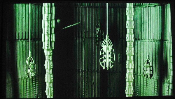 Saskia Olde Wolbers - Pareidolia - 12,25minuten