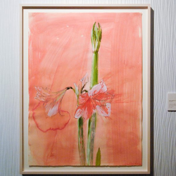 Dolf D van Omme - Erik Andriesse