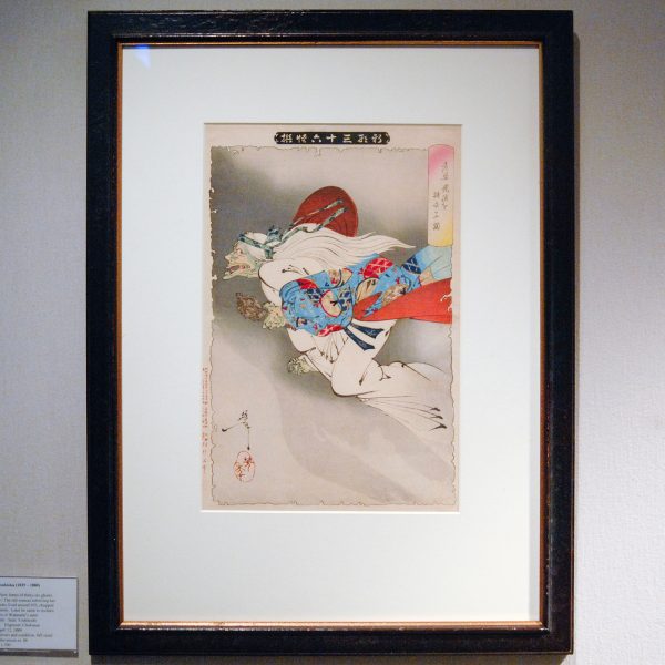 EH Ariens Kappers - Tsukioka Yoshitoshi